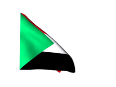 GÜNEY SUDAN Vizesi
